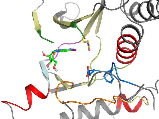 The orthosteric binding pocket