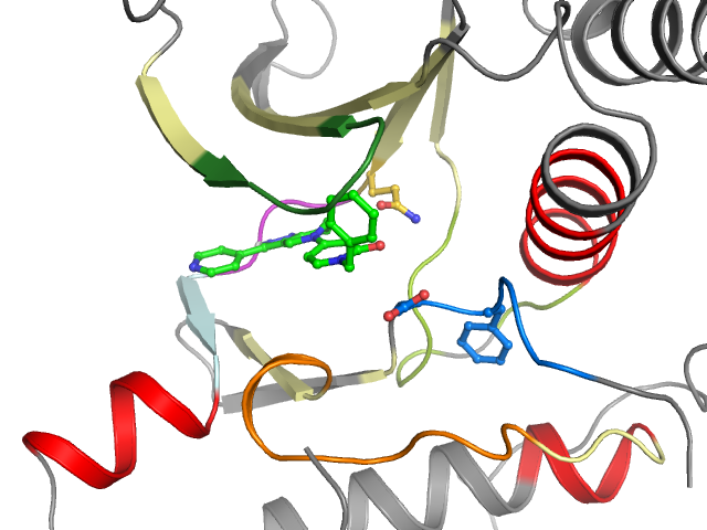 The orthosteric binding pocket