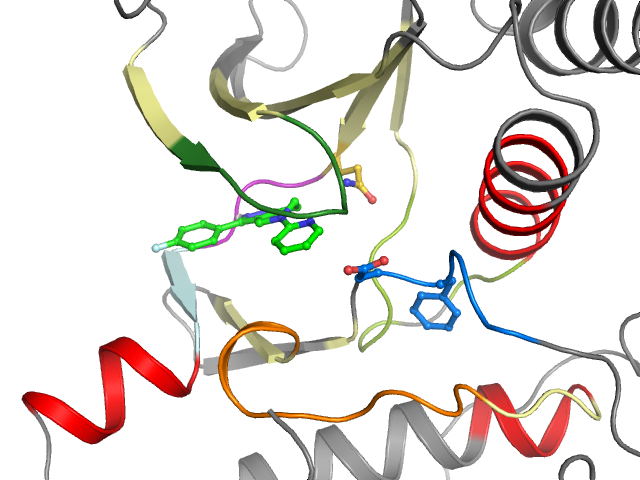 The orthosteric binding pocket