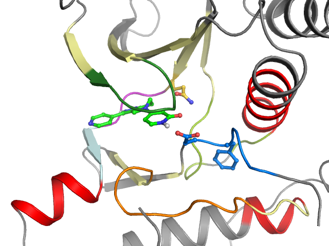 The orthosteric binding pocket