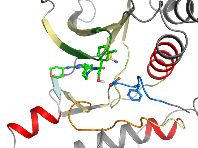 The orthosteric binding pocket