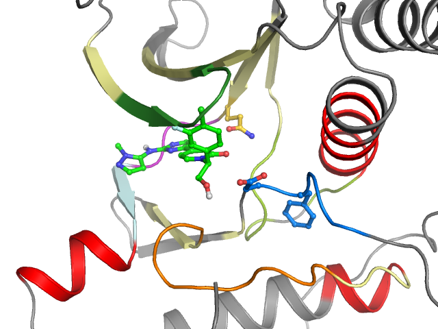 The orthosteric binding pocket