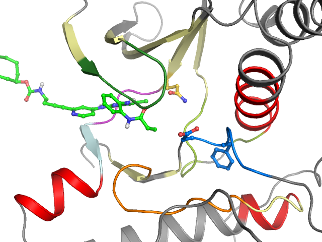 The orthosteric binding pocket