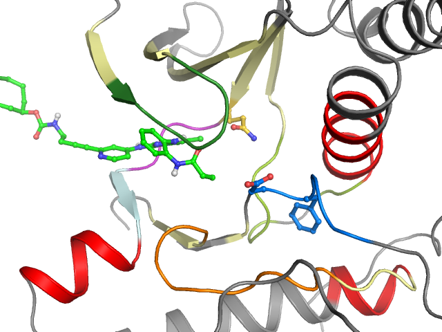 The orthosteric binding pocket