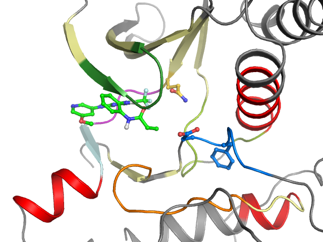 The orthosteric binding pocket