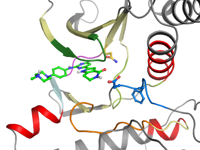 The orthosteric binding pocket