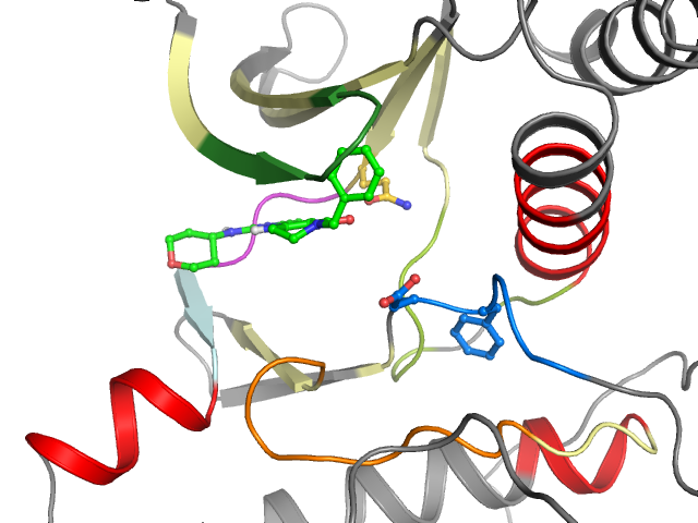 The orthosteric binding pocket