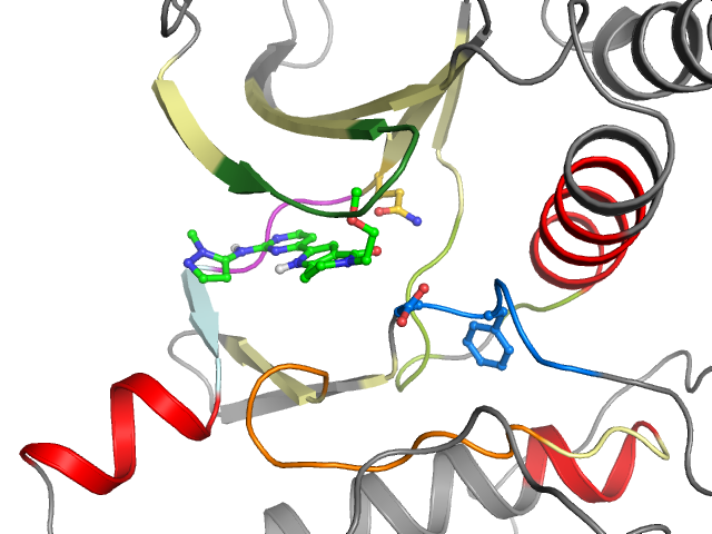 The orthosteric binding pocket