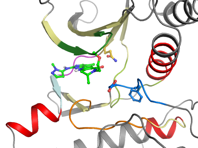 The orthosteric binding pocket