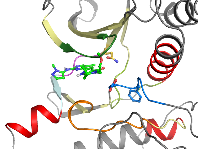 The orthosteric binding pocket