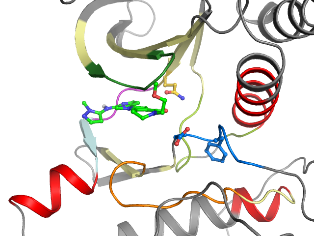 The orthosteric binding pocket