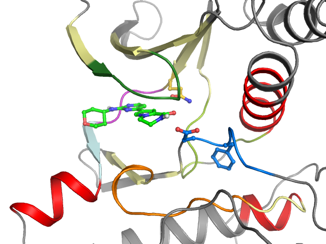 The orthosteric binding pocket