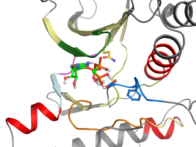 The orthosteric binding pocket