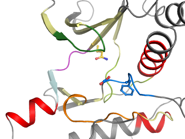 The orthosteric binding pocket
