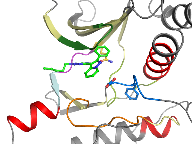 The orthosteric binding pocket
