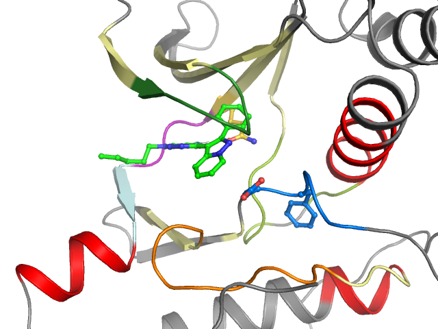 The orthosteric binding pocket