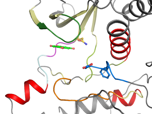 The orthosteric binding pocket
