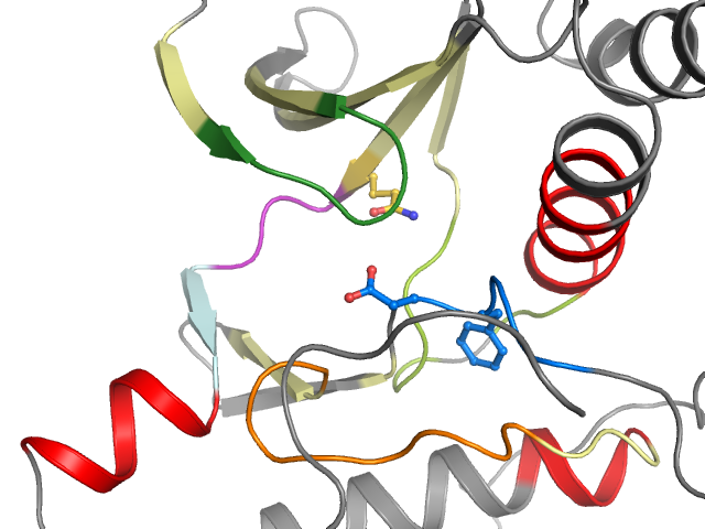 The orthosteric binding pocket