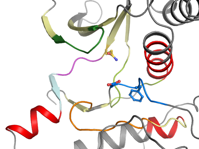 The orthosteric binding pocket