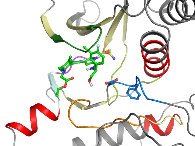 The orthosteric binding pocket