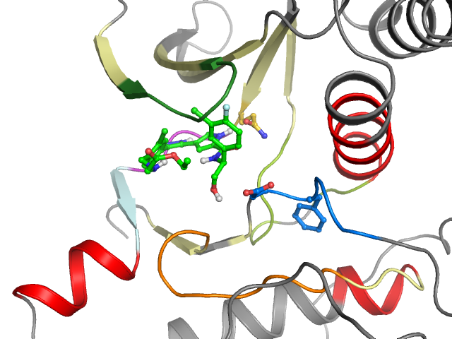 The orthosteric binding pocket