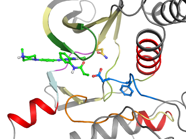 The orthosteric binding pocket