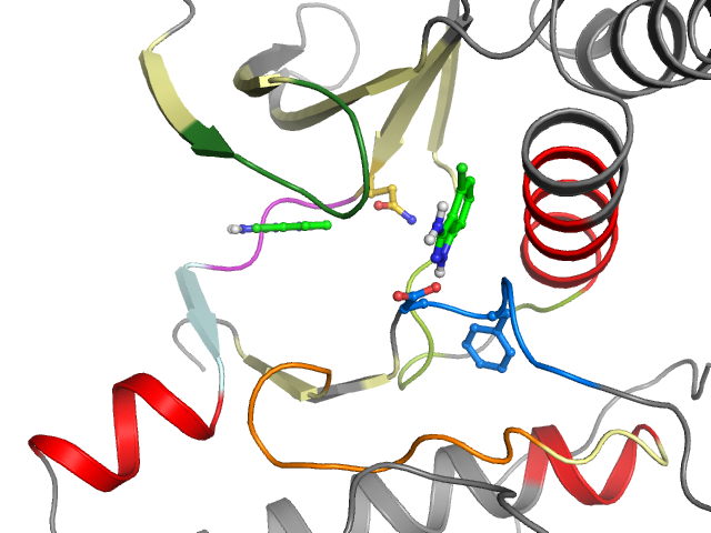 The orthosteric binding pocket