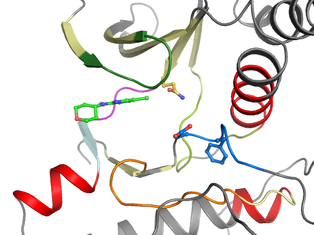 The orthosteric binding pocket
