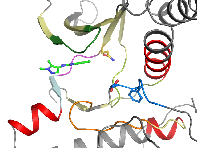 The orthosteric binding pocket