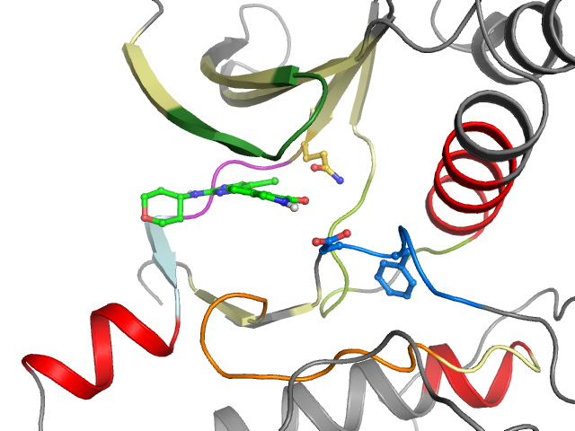 The orthosteric binding pocket