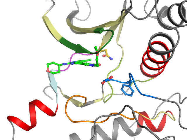 The orthosteric binding pocket