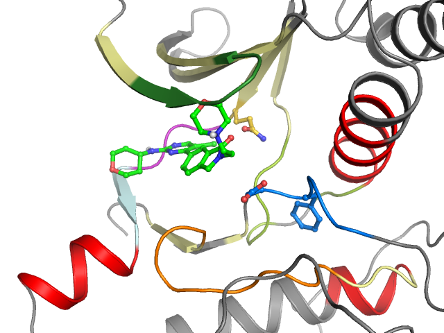 The orthosteric binding pocket