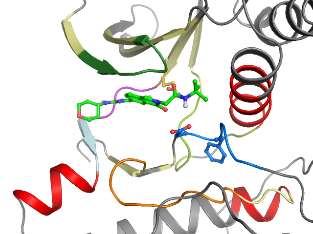The orthosteric binding pocket