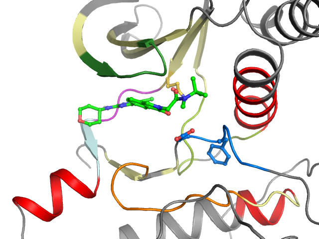 The orthosteric binding pocket