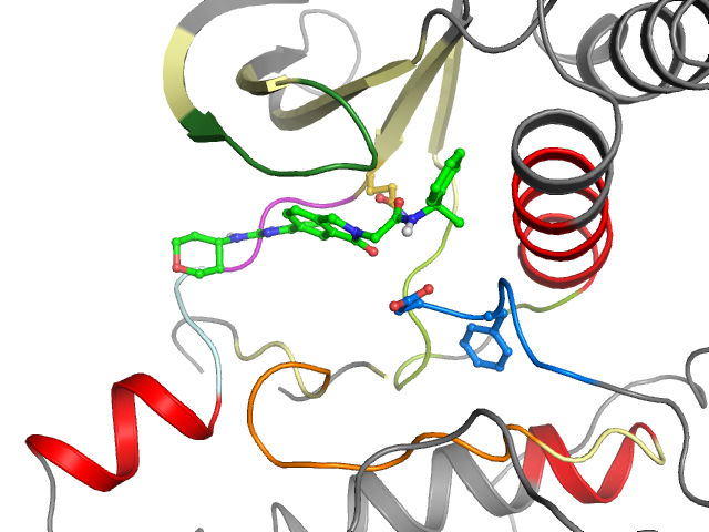 The orthosteric binding pocket