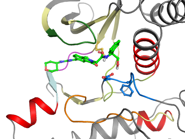 The orthosteric binding pocket