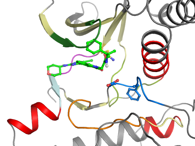 The orthosteric binding pocket