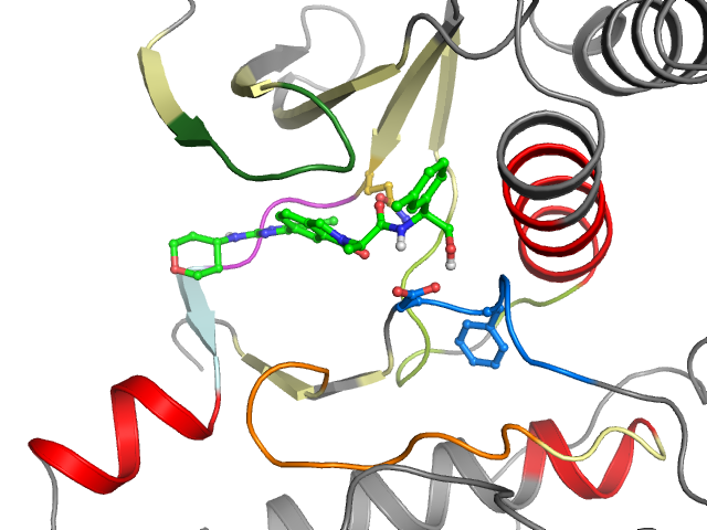 The orthosteric binding pocket