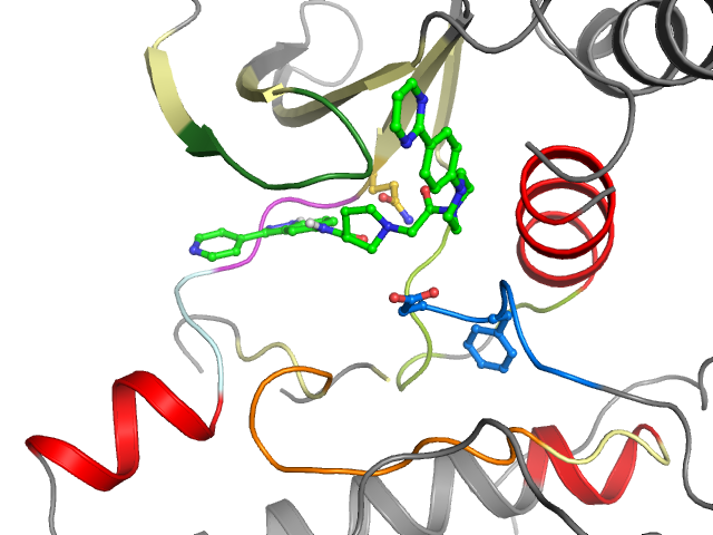 The orthosteric binding pocket