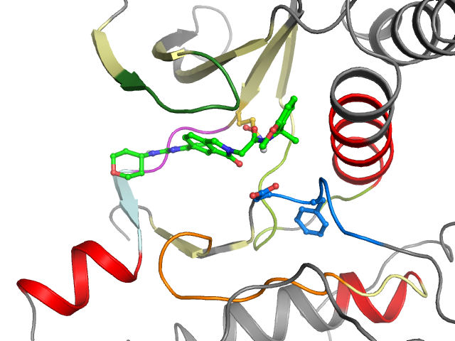 The orthosteric binding pocket