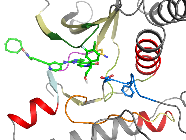The orthosteric binding pocket