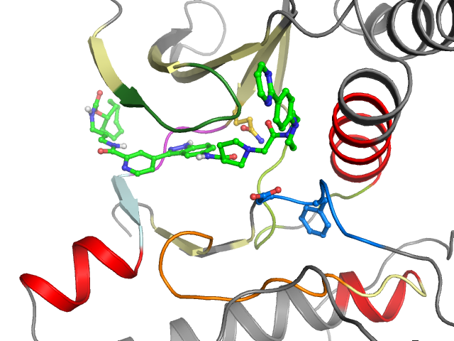 The orthosteric binding pocket