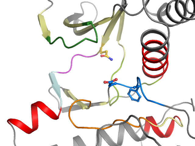 The orthosteric binding pocket
