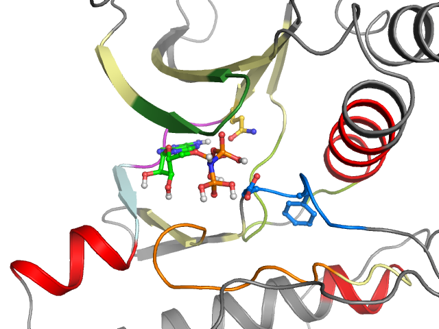 The orthosteric binding pocket