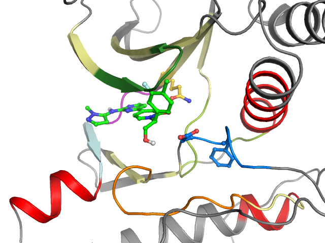 The orthosteric binding pocket