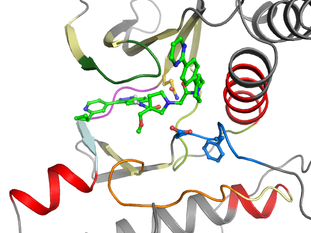 The orthosteric binding pocket