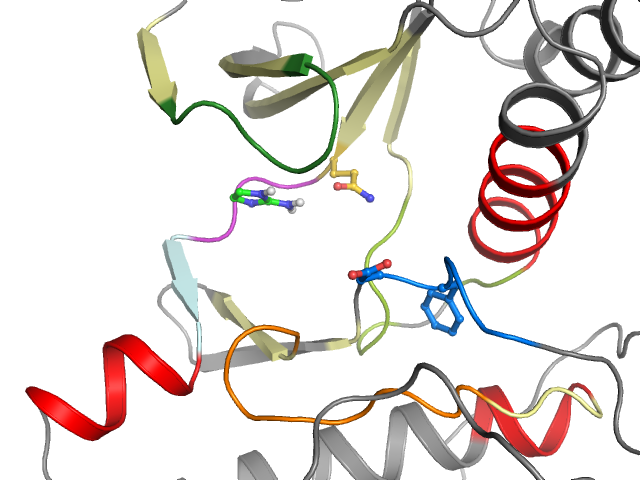 The orthosteric binding pocket