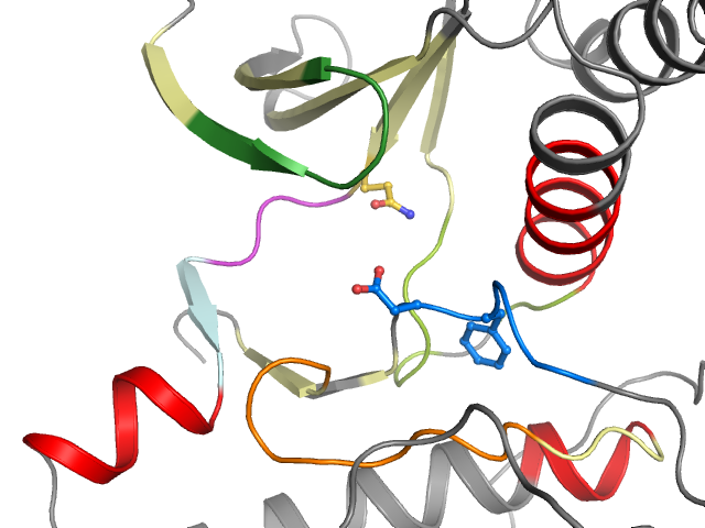 The orthosteric binding pocket