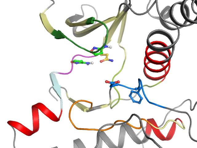 The orthosteric binding pocket