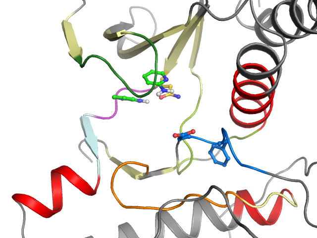 The orthosteric binding pocket